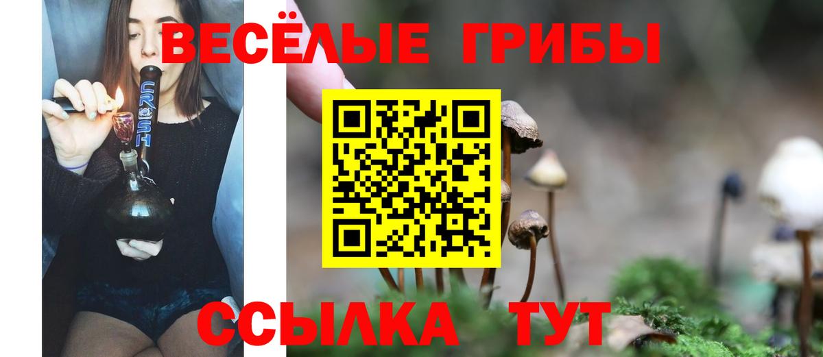 Галлюциногенные грибы Cubensis  купить наркотики цена  Майский  Галлюциногенные грибы Psilocybine cubensis  Вход с VPN 